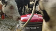 Lely Discovery 120 Collector - Siebren Woudstra - PL - H264 MOV 1920x1080 16x9.mov