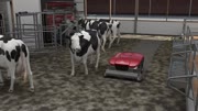 Lely Discovery 120 Collector animation - DA - MP4 1920x1080.mp4
